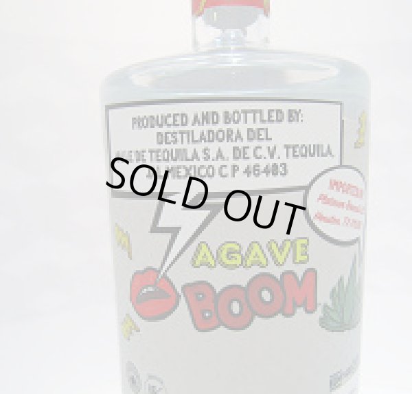 画像2: アガベ　ブーム (2)